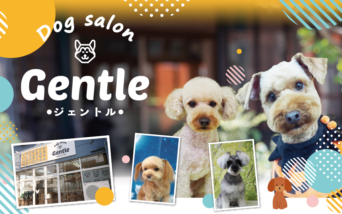 ジェントル_ドッグサロン栃木県小山市
